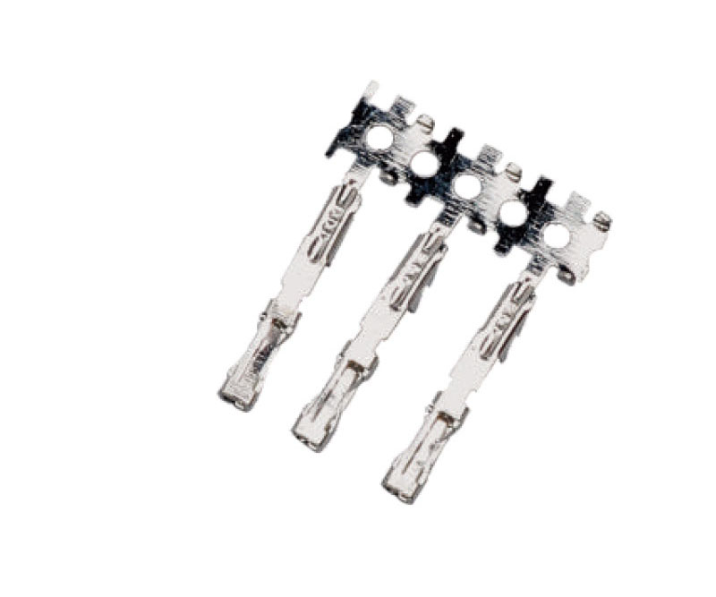 PHP Warning:  fopen(webhook.txt): failed to open stream: Resource temporarily unavailable in C:inetpubwwwrootdivseo.netfanyi.php on line 151
PHP Warning:  fwrite() expects parameter 1 to be resource, boolean given in C:inetpubwwwrootdivseo.netfanyi.php on